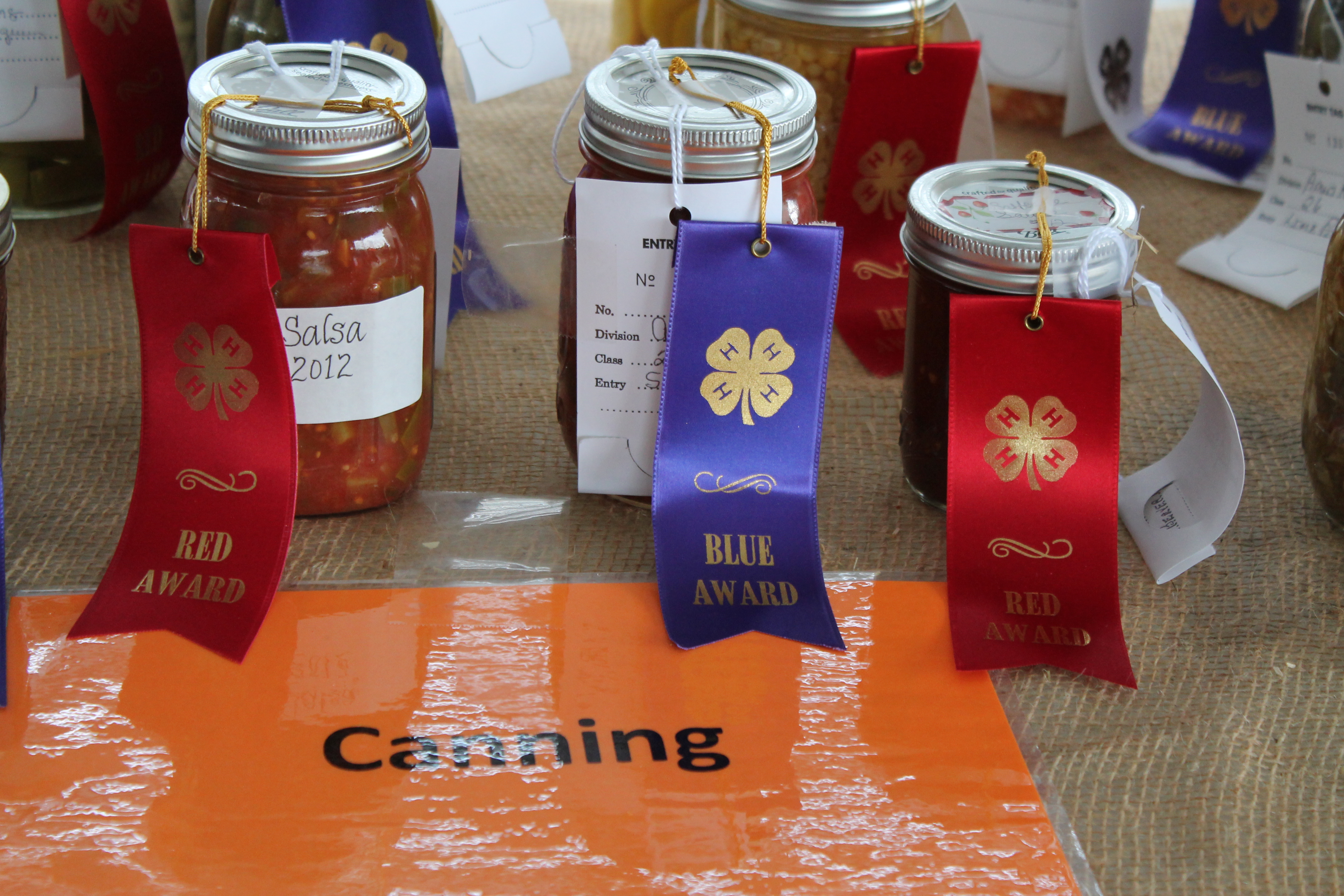 County Fair 2012 - Opening Day 009